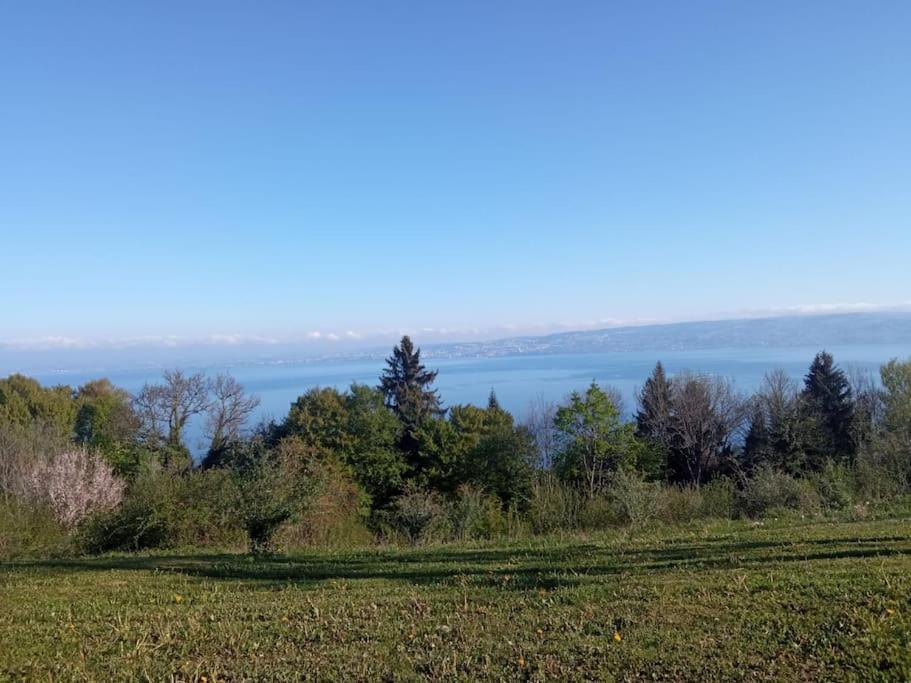 Lugrin Proche Du Lac Et Montagne 외부 사진